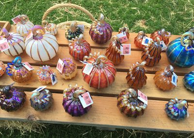 Ready display of pumpkins
