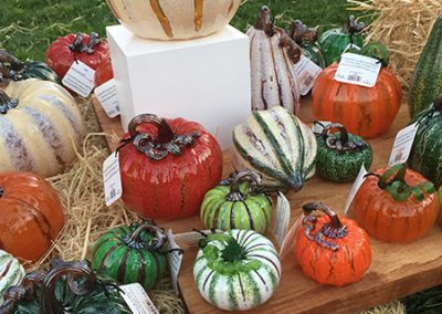 Pumpkin display ready at the patch