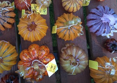 Pumpkins ready for sale